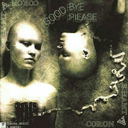 Goodbye Please