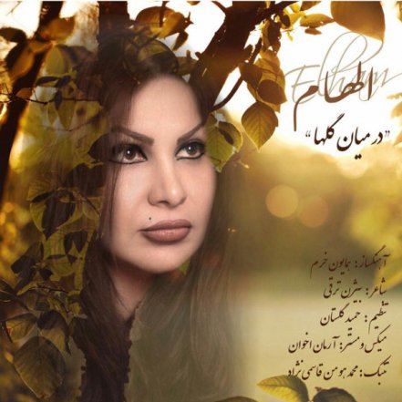 Dar Miane Golha