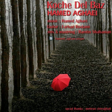Koche Del Baz