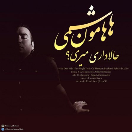Hala Dari Miri