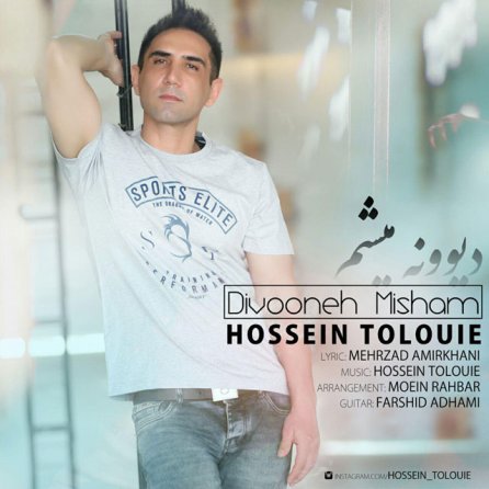 Divooneh Misham