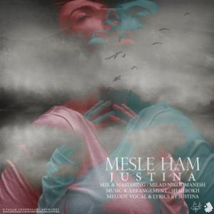 Mesle Ham