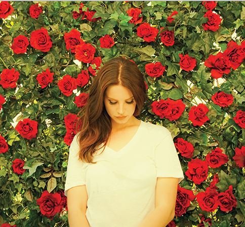 Roses - New Version
