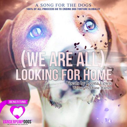 Looking For Home