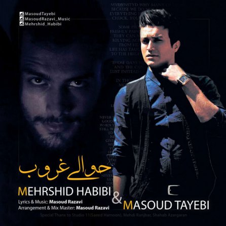 Havalie Ghoroub
