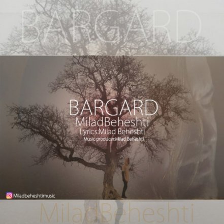 Bargard