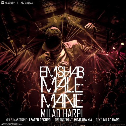 Emshab Male Mane