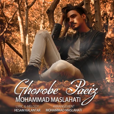 Ghorobe Paeiz