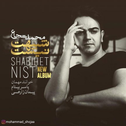 Shabihet Nist