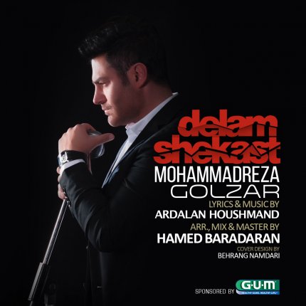 Delam Shekast