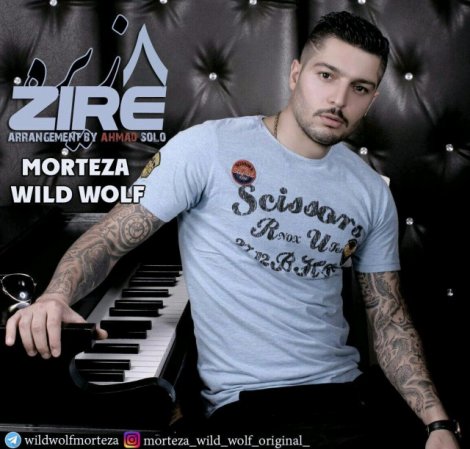 Zire8