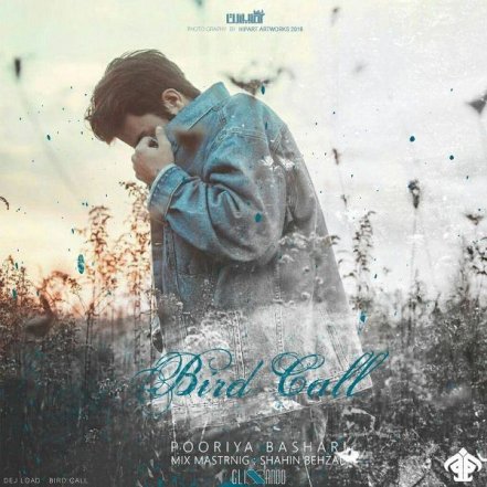 Bird Call