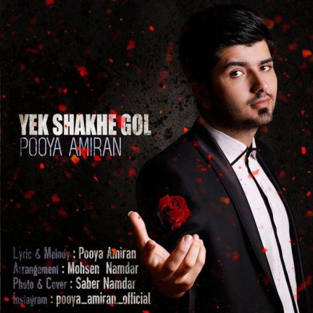 Yek Shakhe Gol