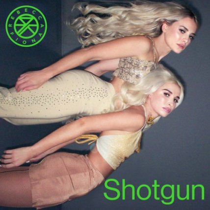 Shotgun
