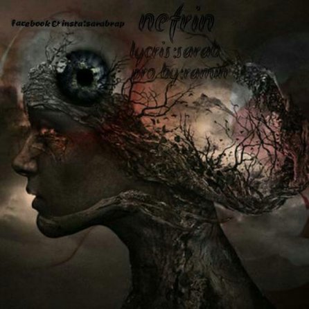 Nefrin