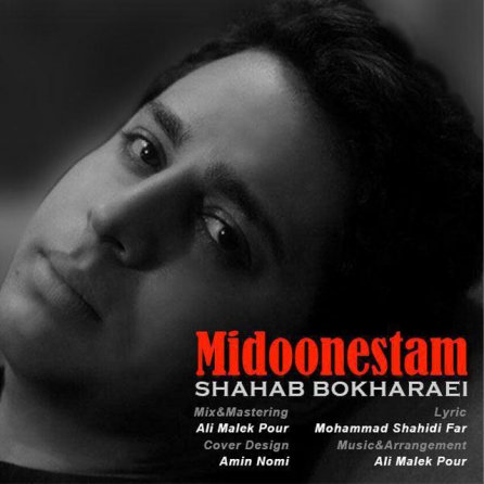 Midoonestam
