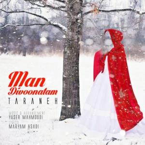 Man Divoonatam