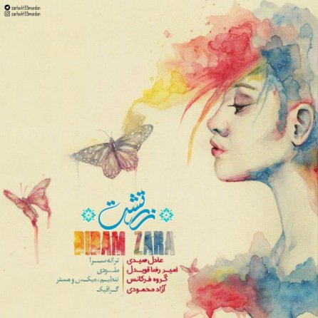 Didam Zara