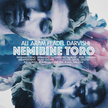 Nemibine Toro