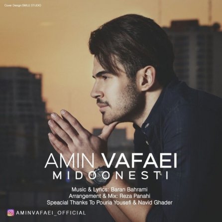 Midoonesti