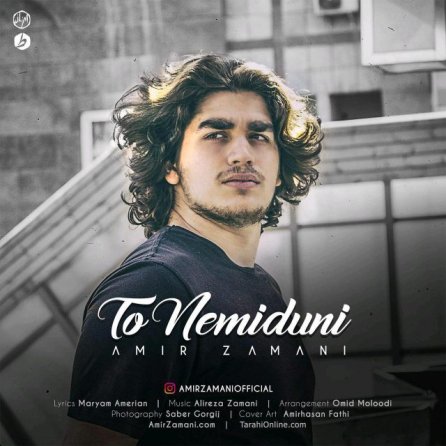 To Nemiduni