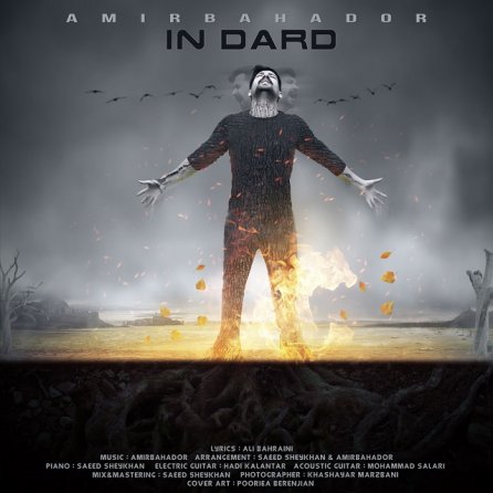 In Dard