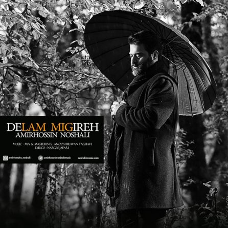 Delam Migireh