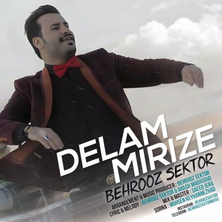 Delam Mirize