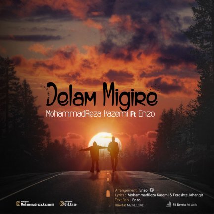 Delam Migire