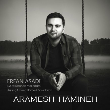 Aramesh Hamineh