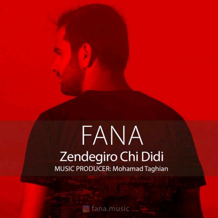 Zendegio Chi Didi