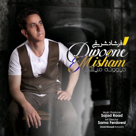 Divooneh Misham