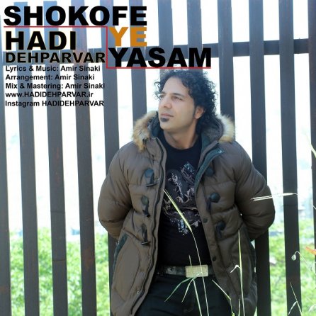 SHOKOFEYE YASAM