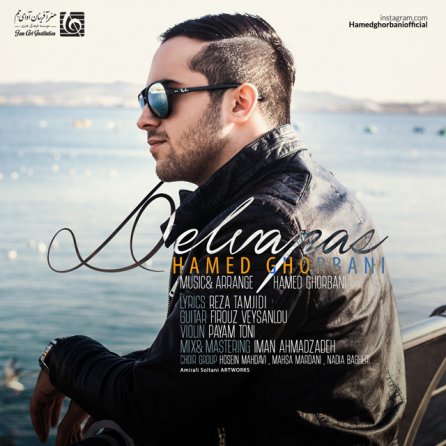Delvapas