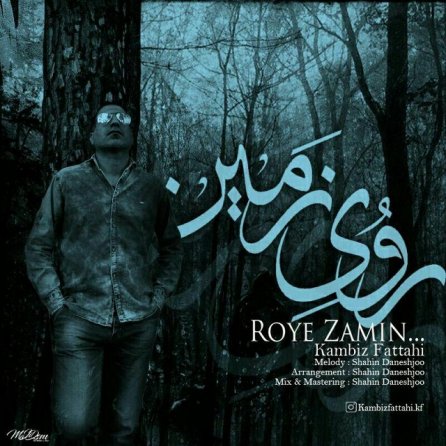 Roye Zamin