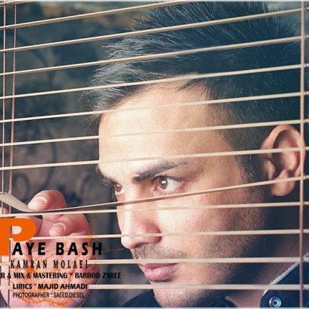 Paye Bash