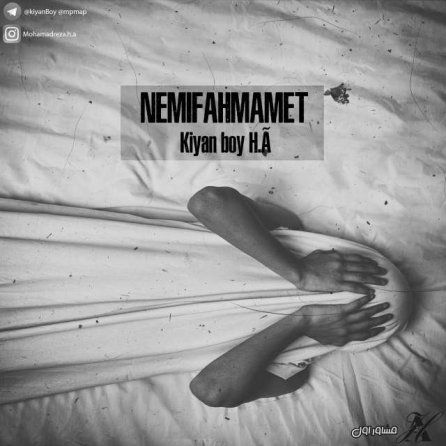 Nemifahmamet
