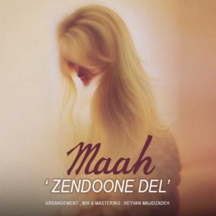Zendoone Del