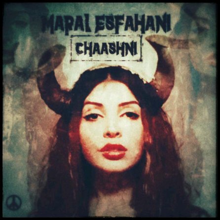 Chaashni