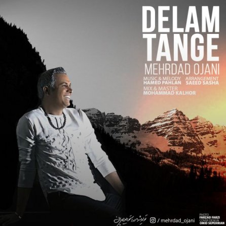 Delam Tange