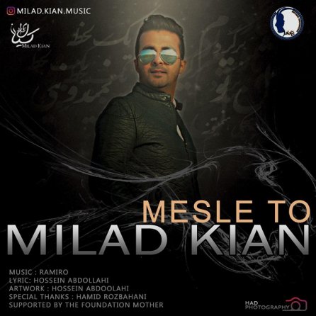 Mesle To