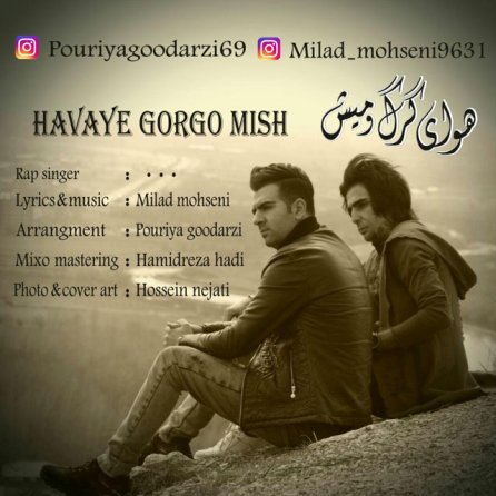 Havaye Gorgo Mish