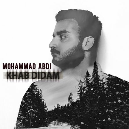 Khab Didam