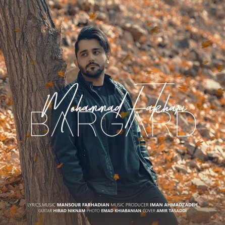 Bargard