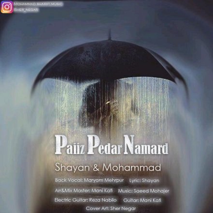 Paeiz Pedar Namard