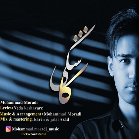 Kashki