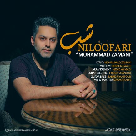 Shabe Niloofari