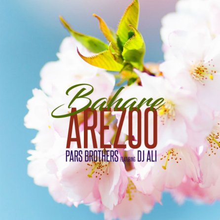 Bahare Arezoo