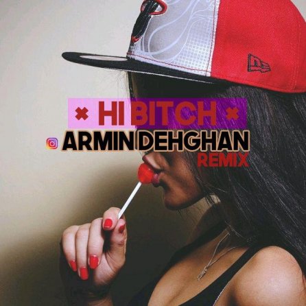 Hi Bitch - Armin Dehghan Remix