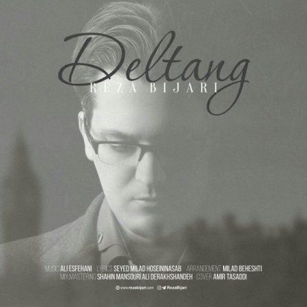 Deltang